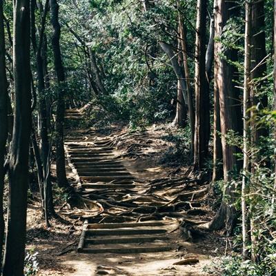 cos英雄大乱斗bt版下载